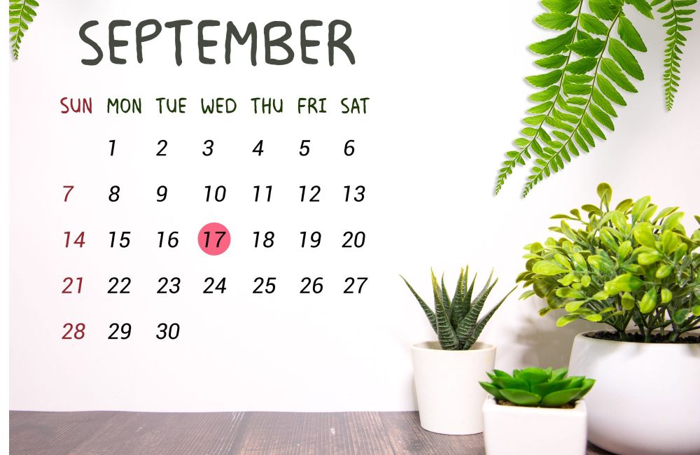 10 calendriers pour une rentrée bien organisée
