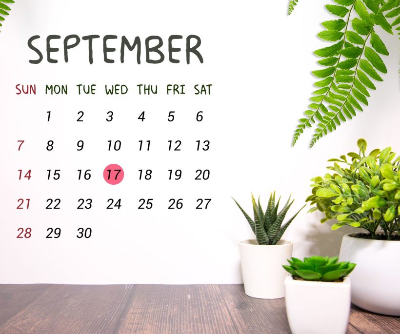 10 calendriers pour une rentrée bien organisée