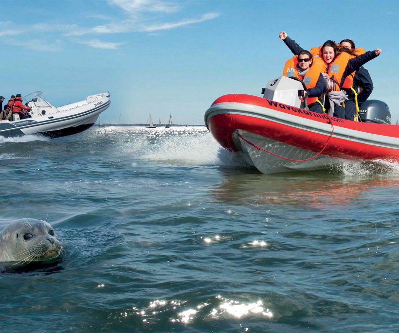 Gagnez une balade à la découverte des phoques avec Knokke Boat