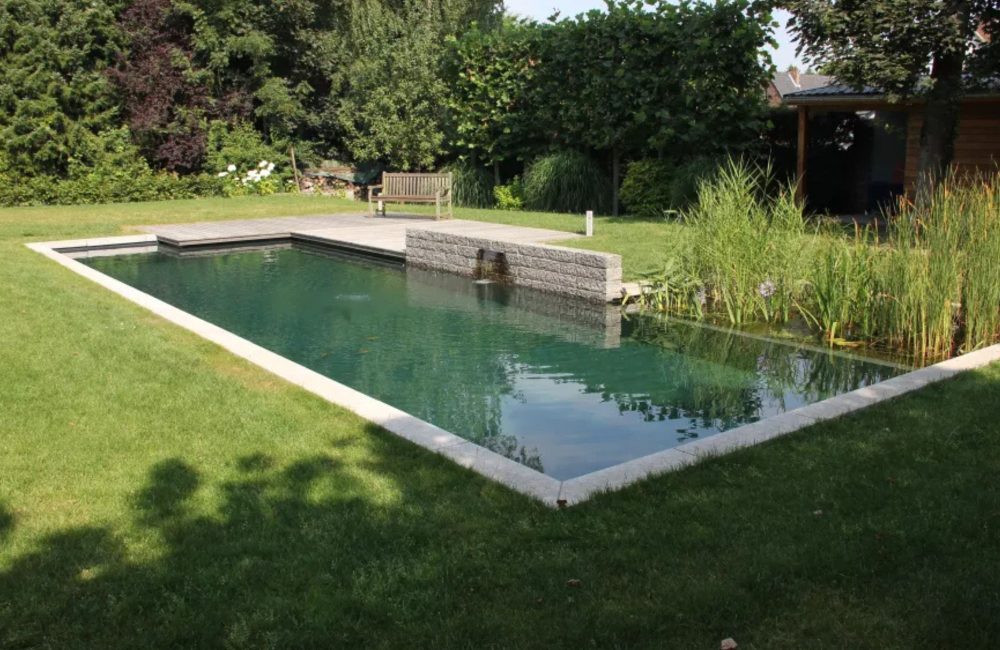 Tout savoir sur la piscine naturelle