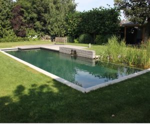 Tout savoir sur la piscine naturelle