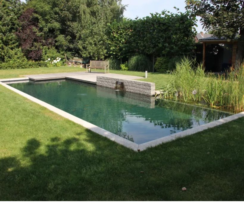 Tout savoir sur la piscine naturelle