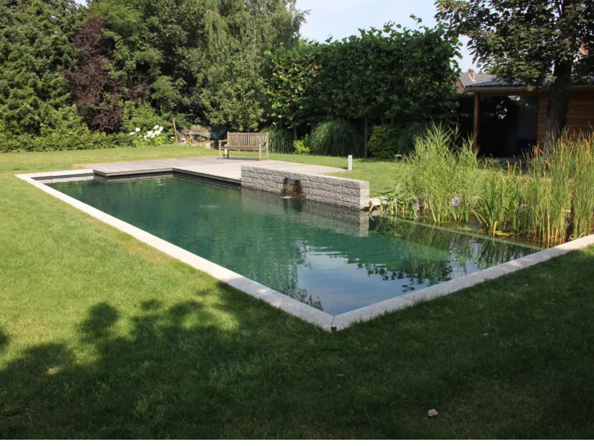 Tout savoir sur la piscine naturelle