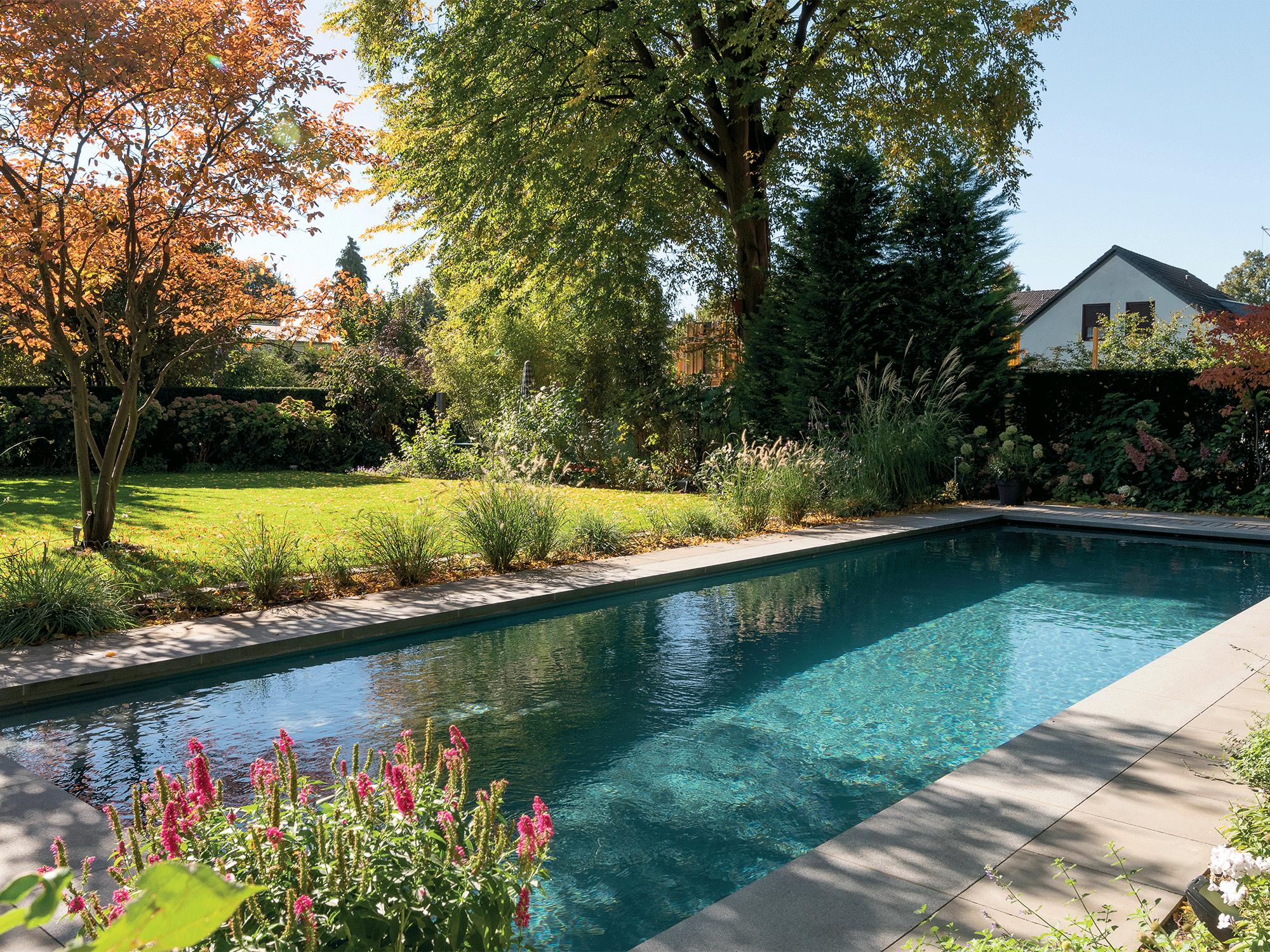 Astuces et conseils d’experts pour créer le jardin de ses rêves
