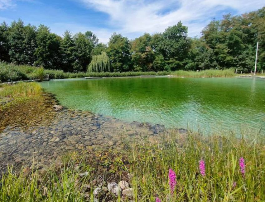 Une piscine en totale harmonie avec son environnement © NaturEau