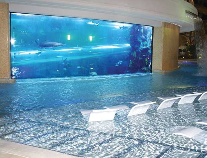 La piscine © The Tank du Golden Nugget Hotel à Las Vegas