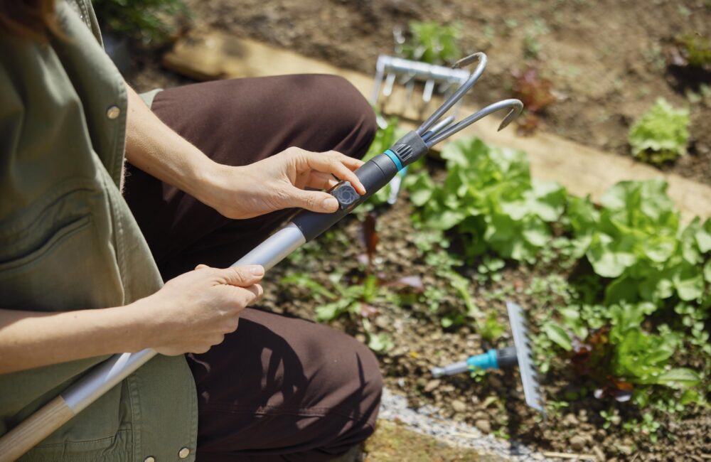 Pourquoi l’automne est la saison idéale pour s’occuper de son jardin