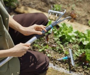 Pourquoi l’automne est la saison idéale pour s’occuper de son jardin