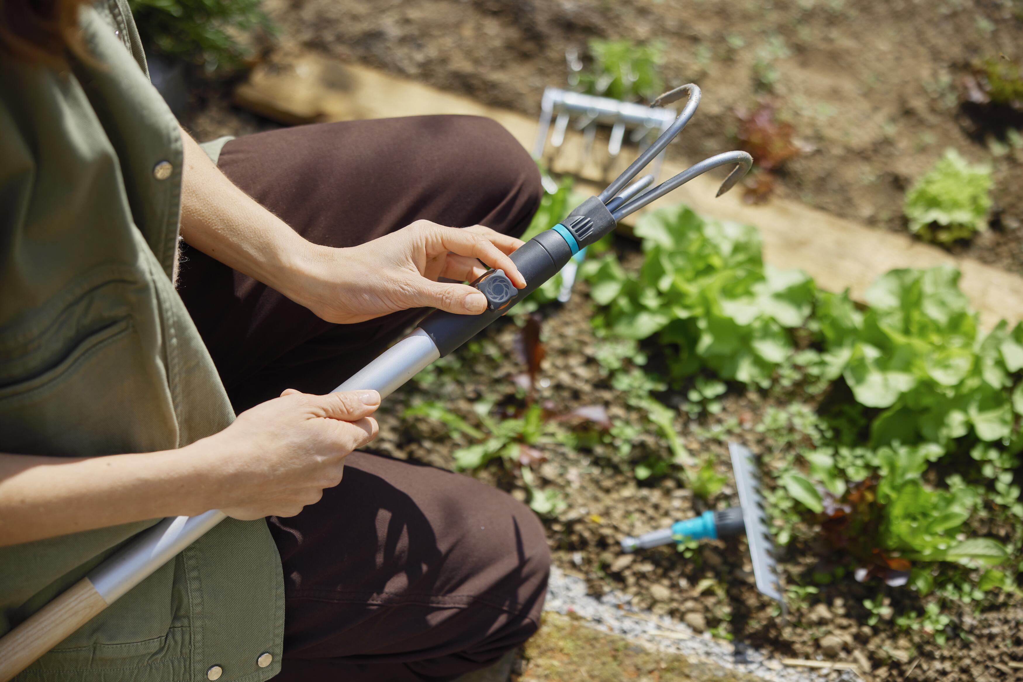 Pourquoi l’automne est la saison idéale pour s’occuper de son jardin